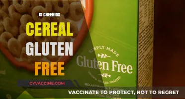 Are Cheerios Gluten-Free? A Comprehensive Guide to Your Breakfast Choice