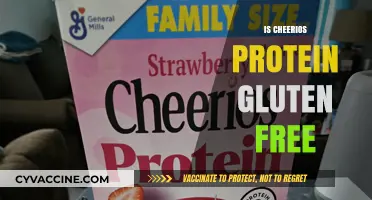 Are Cheerios Protein Gluten-Free? A Complete Nutritional Breakdown