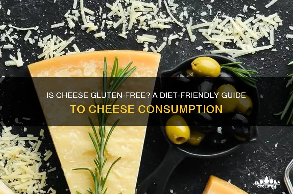 is cheese gluten free diet