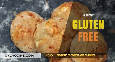 Is Cheese Gluten-Free? A Comprehensive Guide to Safe Cheeses