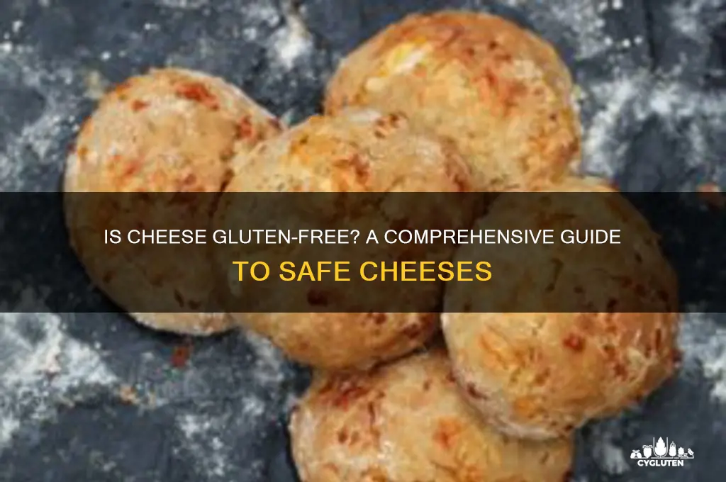 Is Cheese GlutenFree? A Comprehensive Guide To Safe Cheeses CyGluten