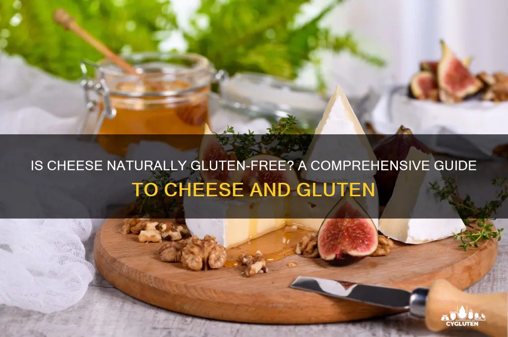 is cheese naturally gluten free