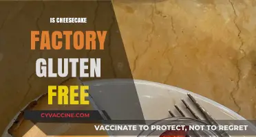 Is Cheesecake Factory Gluten-Free? Exploring Menu Options for Celiac Diners