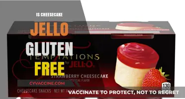 Is Cheesecake Jello Gluten-Free? A Complete Guide for Dessert Lovers