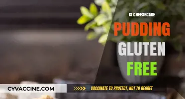 Is Cheesecake Pudding Gluten-Free? A Delicious Dessert Dilemma Explained