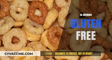 Are Cheerios Gluten-Free? Unraveling the Cereal Mystery for Celiacs
