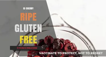Is Cherry Ripe Gluten-Free? A Comprehensive Guide to Your Favorite Treat