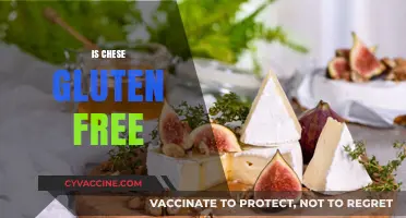 Is Cheese Gluten-Free? A Complete Guide to Safe Cheese Choices