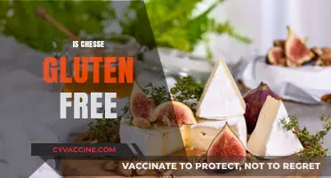 Is Cheese Gluten-Free? A Complete Guide to Safe Cheese Choices