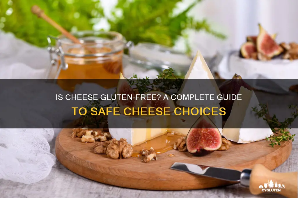 is chesse gluten free