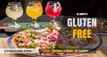 Is Chevy's Gluten-Free? Exploring the Menu for Celiac-Safe Options