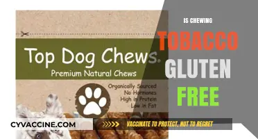 Is Chewing Tobacco Gluten-Free? Uncovering the Facts for Celiac Sufferers