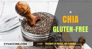 Is Chia Gluten-Free? Discover the Truth About This Superfood