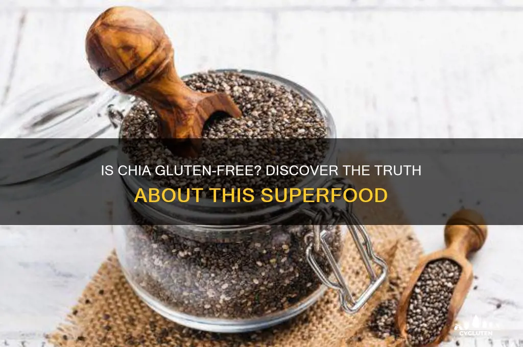 is chia gluten-free