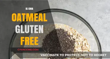 Chia Oatmeal: A Gluten-Free Breakfast Option or Hidden Risk?
