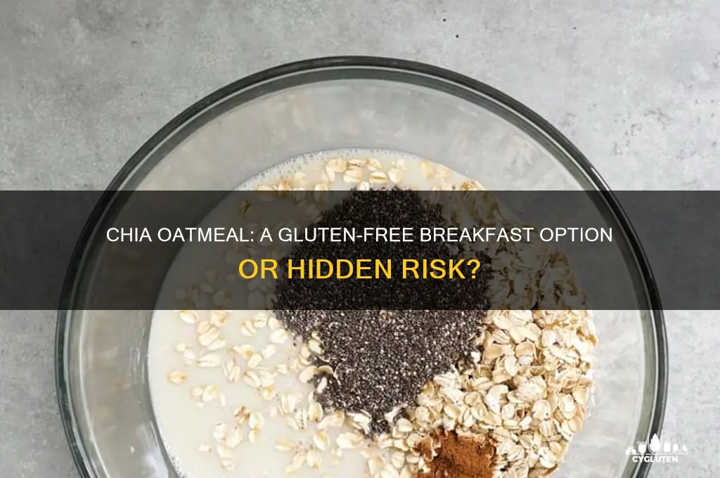 is chia oatmeal gluten free