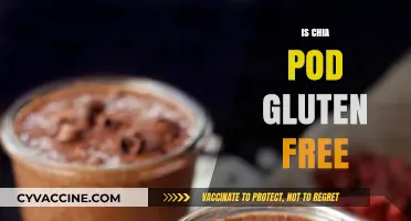 Is Chia Pudding Gluten-Free? A Complete Guide for Dietary Needs