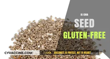 Chia Seeds and Gluten: Are They a Safe, Healthy Pair?