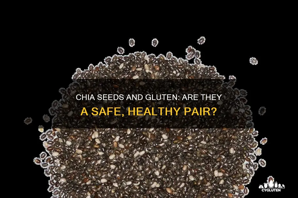 is chia seed gluten-free