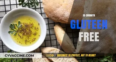 Is Chibata Gluten-Free? A Comprehensive Guide to Chibata Ingredients