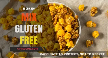 Is Chicago Mix Gluten-Free? A Complete Guide to Ingredients