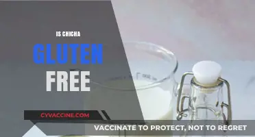 Is Chicha Gluten-Free? Exploring Traditional Beverage Ingredients and Safety