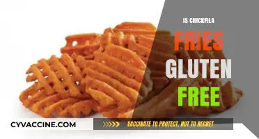 Are Chick-fil-A Fries Gluten-Free? A Complete Guide