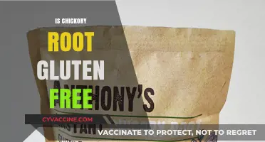Is Chickory Root Gluten-Free? A Comprehensive Guide for Dieters