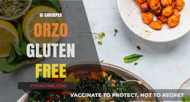 Chickpea Orzo: A Gluten-Free Alternative for Pasta Lovers