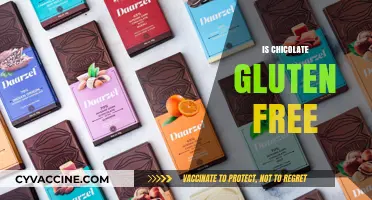 Is Chocolate Gluten-Free? Unraveling the Sweet Truth for Celiacs