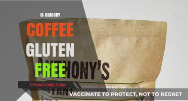 Chicory Coffee and Gluten: A Safe, Healthy Alternative for Celiacs?