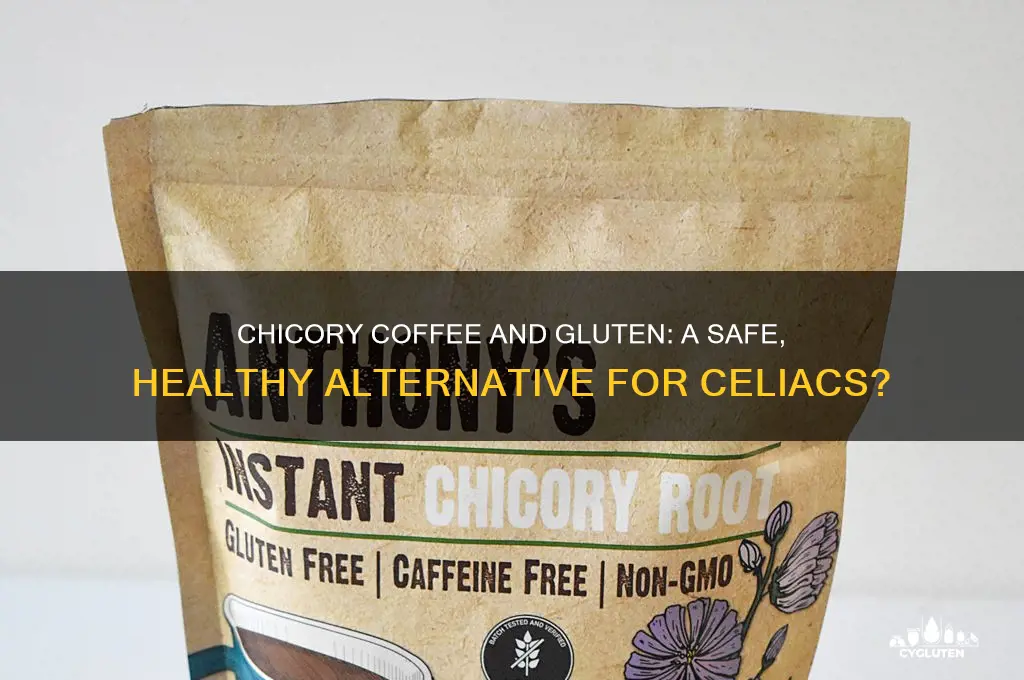is chicory coffee gluten free