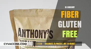 Is Chicory Fiber Gluten-Free? A Comprehensive Guide for Dieters