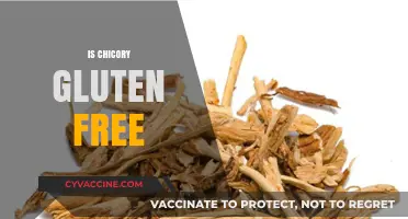 Is Chicory Gluten-Free? A Comprehensive Guide to Chicory Root