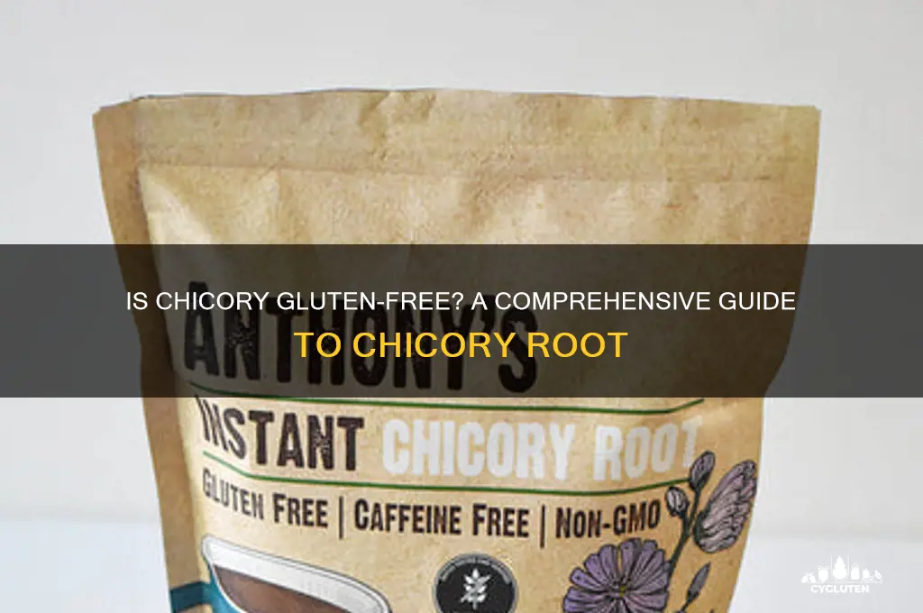 is chicory gluten free