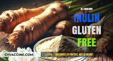 Is Chicory Inulin Gluten-Free? A Comprehensive Guide for Dieters