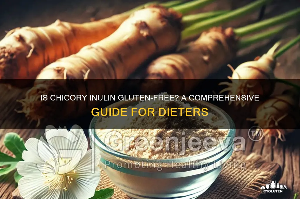 is chicory inulin gluten free