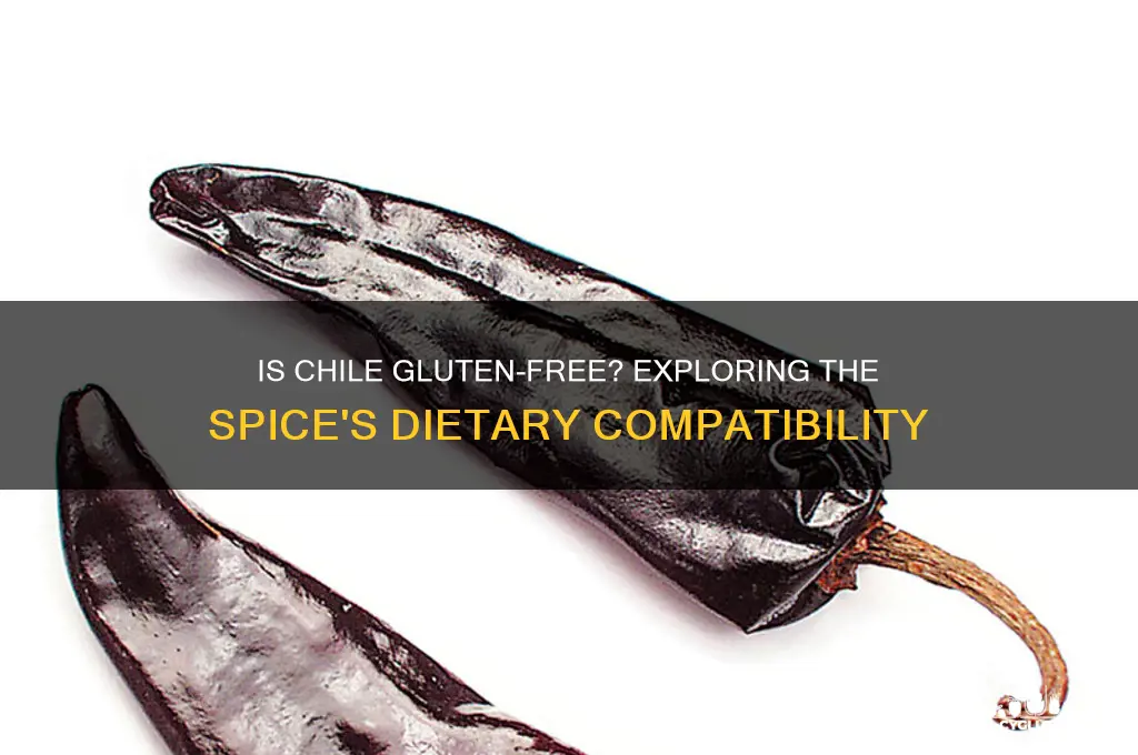 is chile gluten free