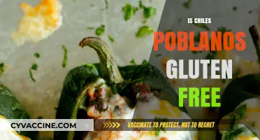 Are Chiles Poblanos Gluten-Free? A Complete Guide for Foodies