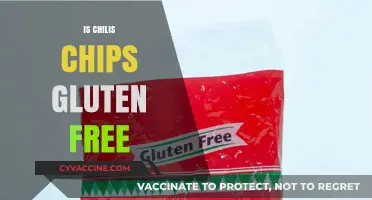 Are Chili's Chips Gluten-Free? A Complete Guide for Diners