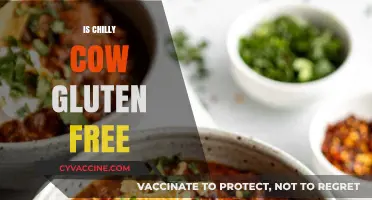 Is Chilly Cow Gluten-Free? A Complete Guide for Ice Cream Lovers