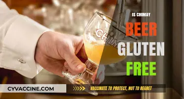 Is Chimay Beer Gluten-Free? Exploring the Trappist Ale's Ingredients