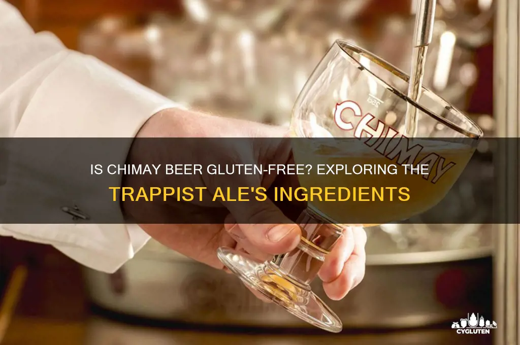 is chimay beer gluten free