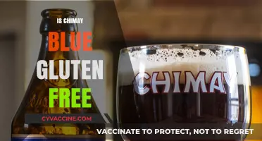 Is Chimay Blue Gluten-Free? A Beer Lover's Guide to Safety
