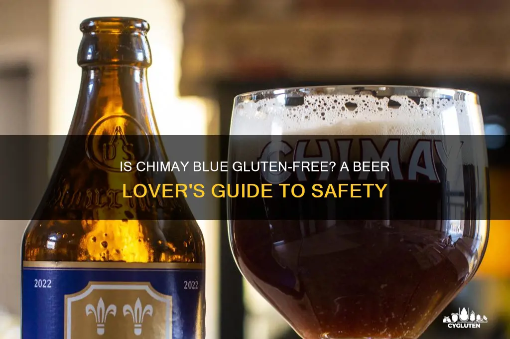 is chimay blue gluten free