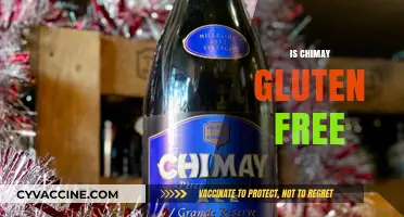 Is Chimay Gluten-Free? Exploring the Trappist Beer's Ingredients