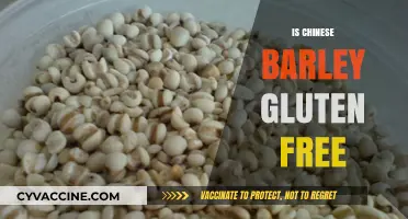 Is Chinese Barley Gluten-Free? Unraveling the Facts for Your Diet