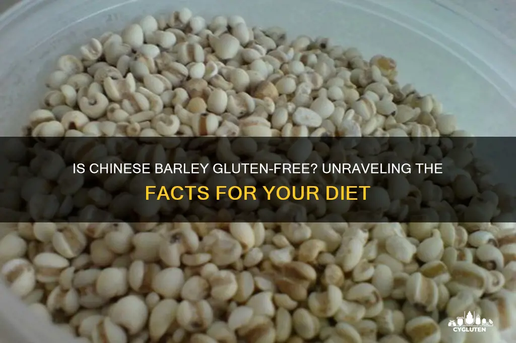 is chinese barley gluten free