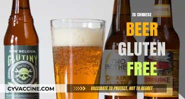 Exploring Chinese Beer: Gluten-Free Options and Popular Brands