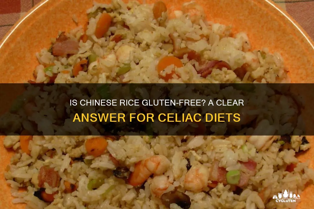 is chinese rice gluten free